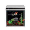 Bien de buena calidad Safe Water Garden Fish Fish